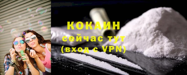 гидра Бронницы