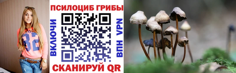 Купить закладки  Минеральные Воды  Галлюциногенные грибы GOLDEN TEACHER 